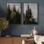 Evergreen Whisper, majestueux, pins, forêt, sérénité, nature, désert, illustrations, décor rustique-101752493-101752492