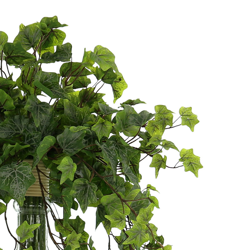Jenner Faux Ivy Plant in Glass Vase