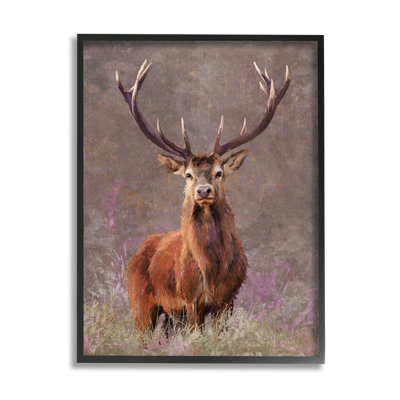 Elk Portrait Forest Grove by Pip Wilson - Floater Frame Graphic Art on Wood -  Stupell Industries, au-160_fr_11x14