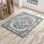 Bessi Machine Washable Oriental Blue Area Rug-2048547090