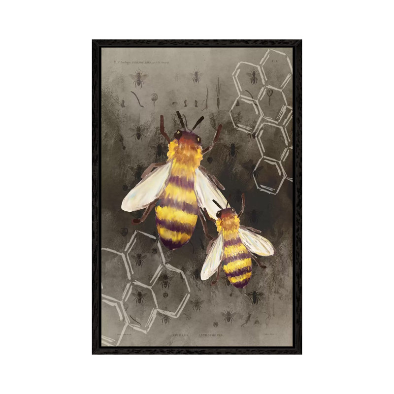 Bee Charmer II by Kimberly Allen - Print on Canvas, 66.04cm H x 45.72cm W x 3.81cm D, Black Framed