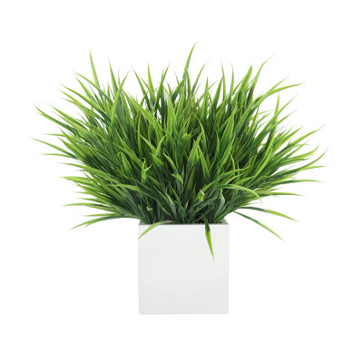 Herbe disposée en pot de fleurs carré