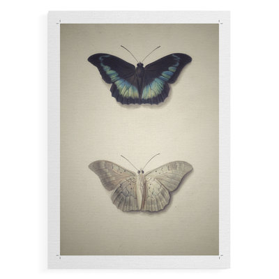 Imprimé animalier rétro - impression sur toile seulement