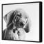 Puppy Eyes 1 Print by Pearson, Victoria-1917139452-1917139451