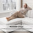 Wauseon 2 - Piece 108.7" Upholstered L Shape Sofa with Convertible Chaise-1308552341