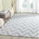 Sanyla Hand Tufted Wool Chevron Rug