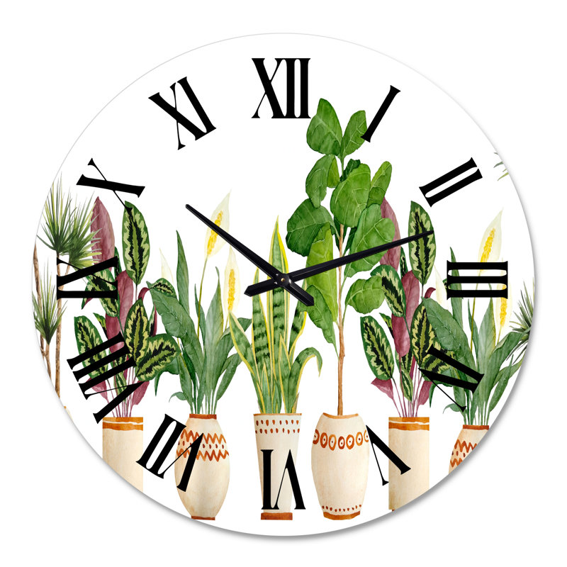 Trio de plantes d'intérieur Sanseviera Snake Plant - horloge murale de ferme, Surdimensionné