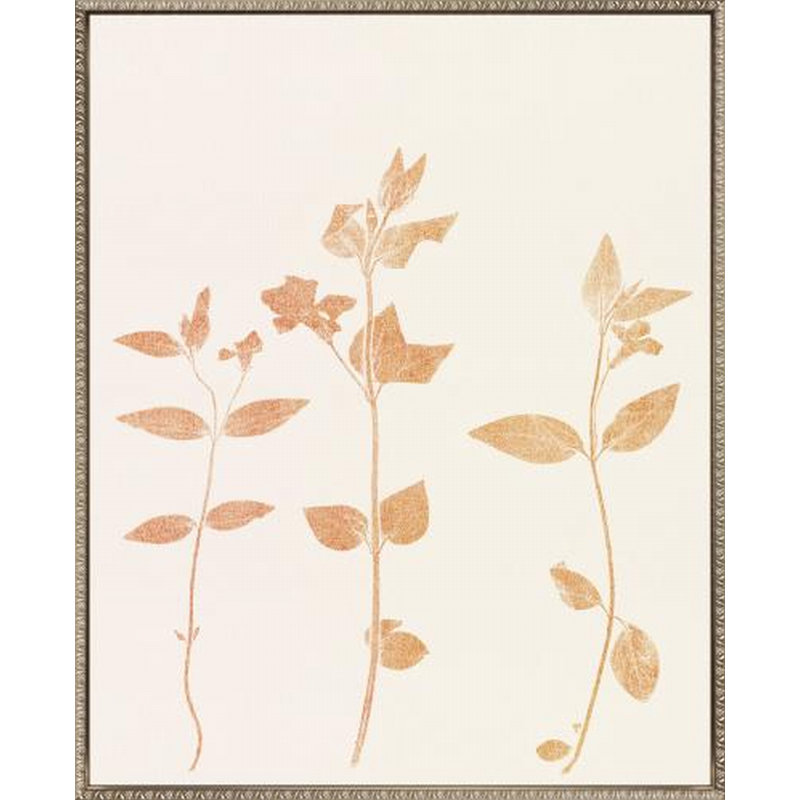 Floral Trace I Canvas Wall Art