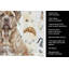 Serviette de cuisine Coffee Bar-1234934451