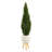 Cedar Artificial Tree in White Planter with Stand