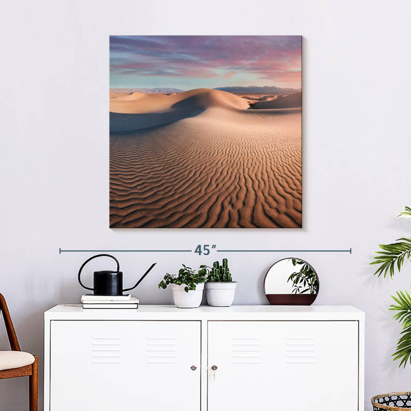 Alvord Mesquite Flat Dunes, 30" H x 30" W
