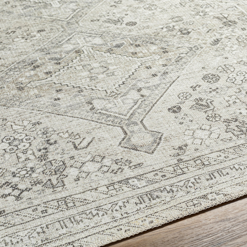 Denzyl Washable Oriental Indoor Rug, Rectangle 6'7" x 9'