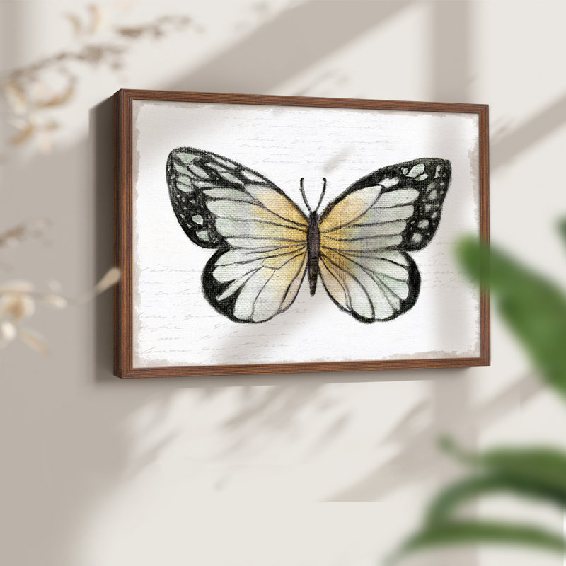 Vintage Flutter IV -Framed Print - Restickable, H 16 po x l 20 po, Noyer