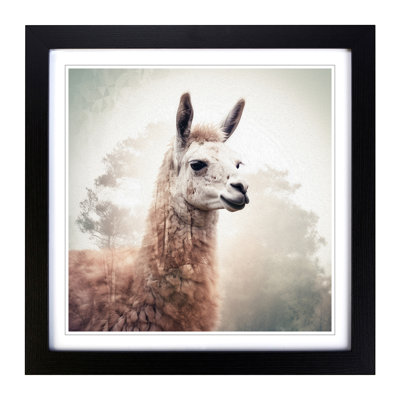 Llama Double Exposure - Framed Print