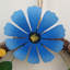 Couronne de fleurs, signe suspendu en rotin rustique avec marguerite bleue et orange