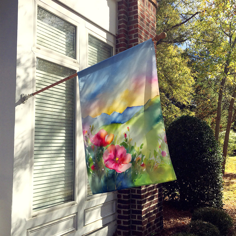 Drapeau de maison en polyester à double face H 40 po x l 28 po