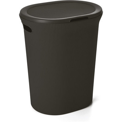 Plastic Laundry Hamper with Handles