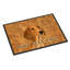 Paillasson Dachshund-14951141