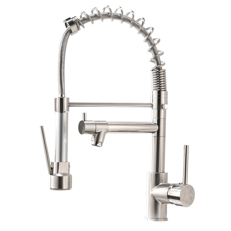 Robinet de cuisine avec douchette rétractable, robinet d'évier de cuisine à poignée simple