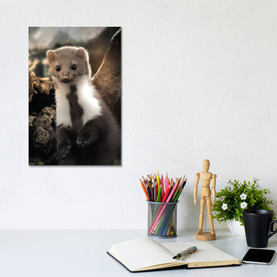 The Cute Weasel 1 Piece Wall Art on Canvas