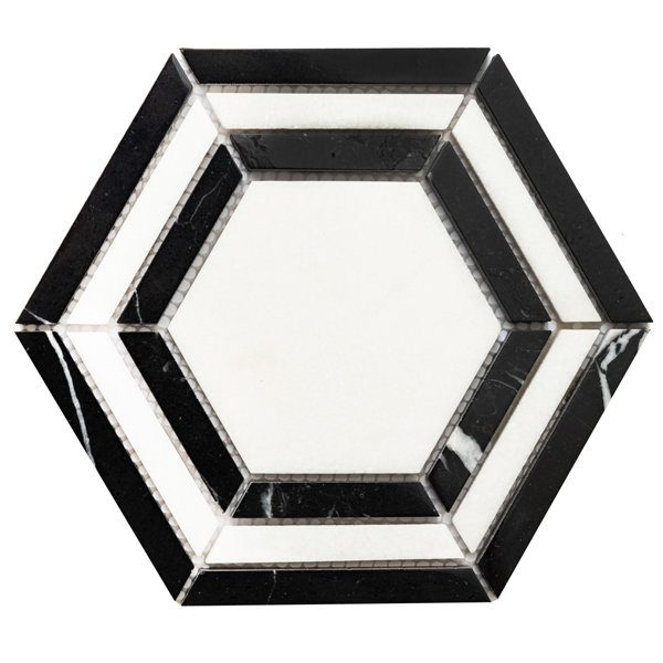 Santorini 4" x 4" Hexagon Polished Marble Mosaic Floor and Wall Tile