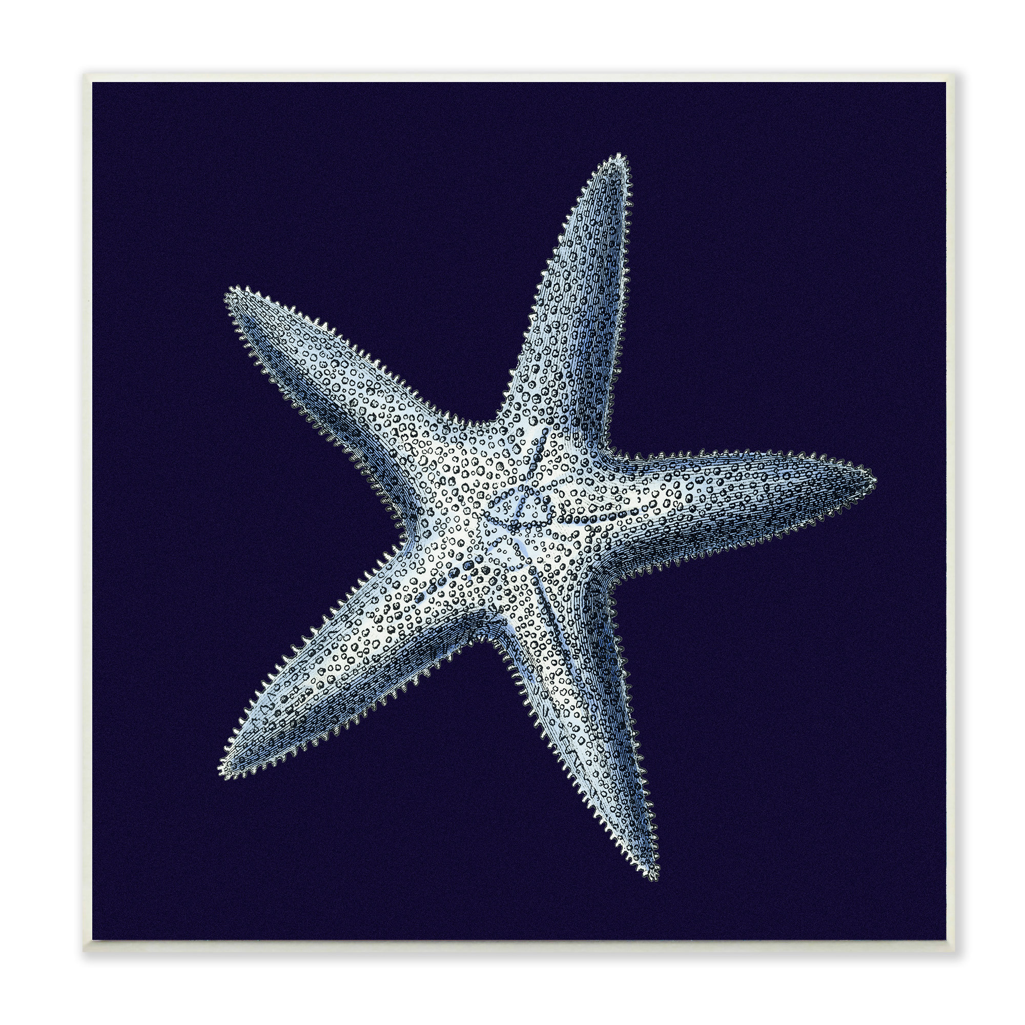 Stupell Industries 'Distressed Navy and White' Graphic Art | Wayfair