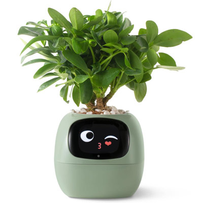 Smart Pet Planter APP AI Robot Garden Flower Pot Gift,  | Plant Care Guidance with Emojis, Adorable Companion, Rich Gesture Interaction, Ideal Desktop Decor & Gift