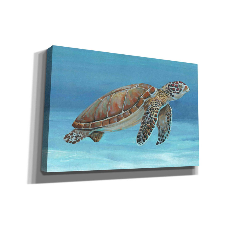«Ocean Sea Turtle I» par Tim O'toole, art mural sur toile, H 12 po x l 18 po x P 0,75 po