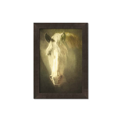 Golden Palomino par Hal Halli. Impression sur papier - Montée et encadrée avec de l'acrylique transparent
