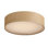 Jessalyn 5 Light LED Flush Mount