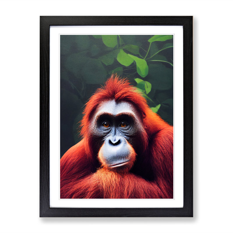 Orangutan Stare - Picture Frame Print, Black, 64cm H x 46cm W x 2cm D