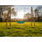 AXI Hemlock Swing Set with 1 Swing(s)-899099830