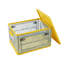Rebrilliant Plastic Storage Tub & Tote-643161261-643161266