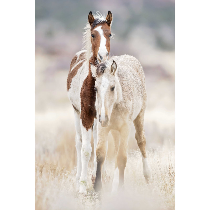 Collection de chevaux X, H 30 po x l 20 po
