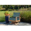 St. Lucia Teak Outdoor Swivel Rocking Lounge Chair-361501759