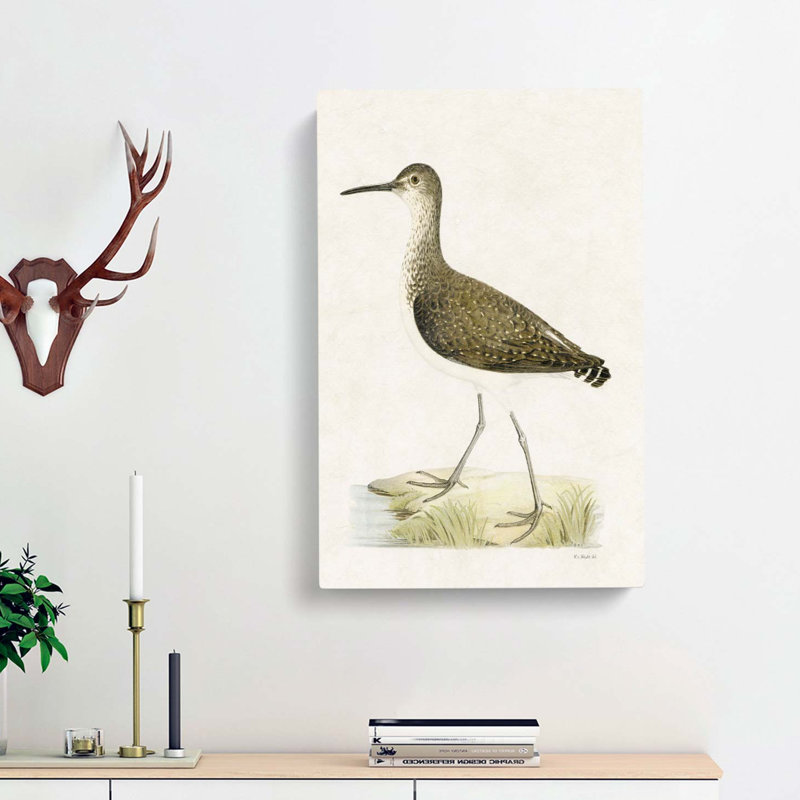 Green Sandpiper by Von Wright - Wrapped Canvas, 60cm H x 40cm W x 3cm D