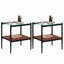 Table basse et tables de bout, table en verre trempé avec tablette en bois pour le salon-704703853-704703852