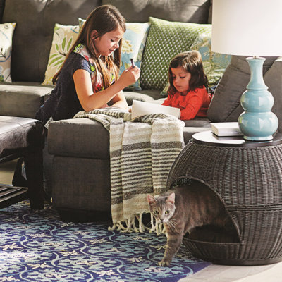 Woven End Table Pet Dome
