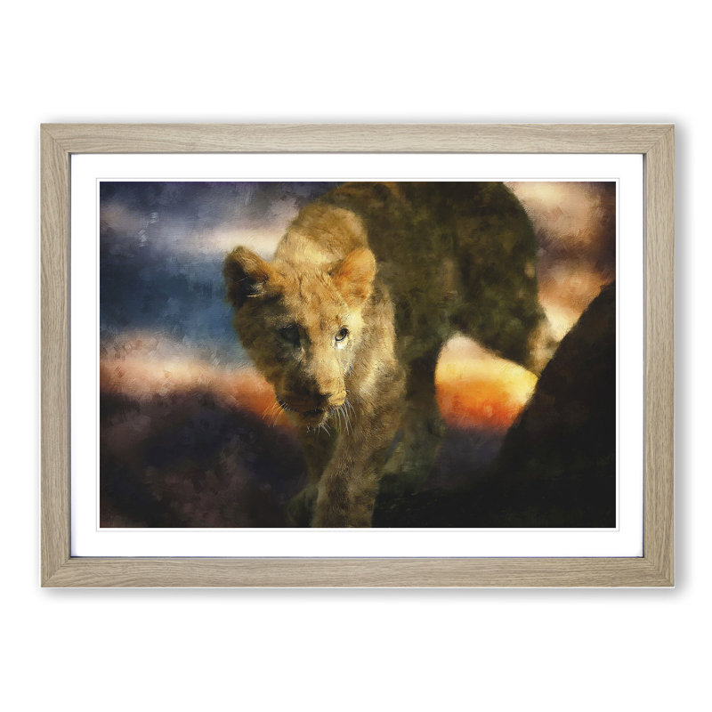 Lion Cub - Picture Frame Graphic Art, Oak Framed, 27cm H x 36cm W x 2cm D