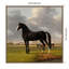«The Fast One, 1828» par Anthony Oberman, reproduction d'art sur toile encadrée-879185005