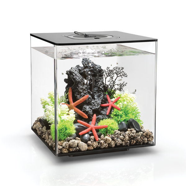 biOrb Flow 15 Litre Black Fish Tank Aquarium 