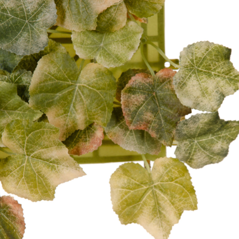 Plastic Wall Decor, Green