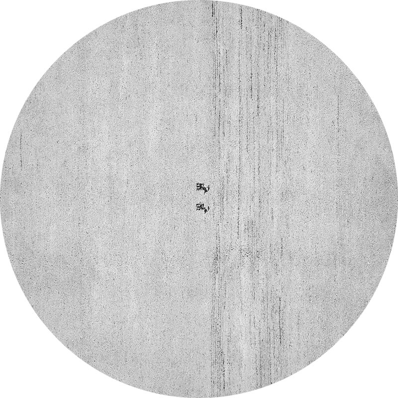 Vivioville Performance Indoor Rug, Round 3'