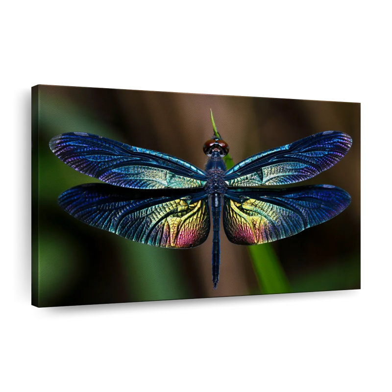 Prismatic Dragonfly, reproduction sur toile, H 30 po x l 45 po x P 1,25 po