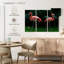 Brampt, deux flamants roses-108086664