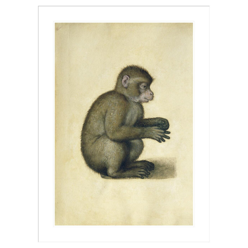 «A Monkey» par Albrecht Dürer, impression giclée sur cadre, H 41,5 po x l 30,66 po