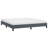 Yaziel Bed, Velvet Upholstered Platform Bed, No Mattress-341439023-341439022