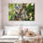 Australian Koala Bears-107922769
