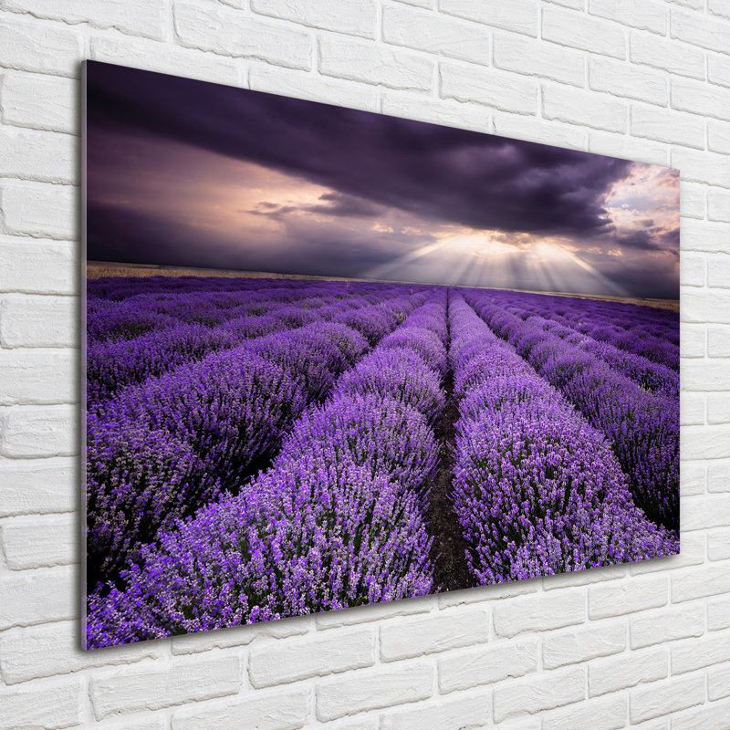 Lavender Field - No Frame Print on Glass