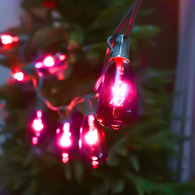 Gustave Indoor 10 - Bulb 12'' Plug-in String Light